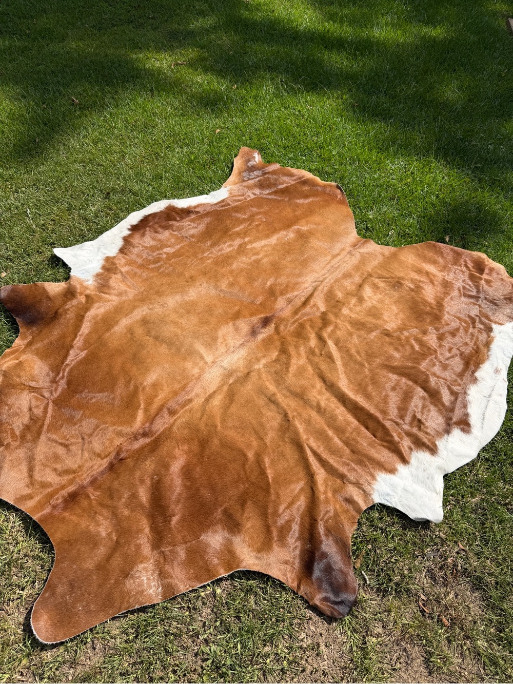 Authentic Cowhide Rug from a market in Dallas. 70x88